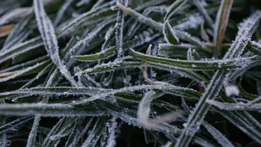 Vecinos de Chillán, Temuco y Puerto Montt vivieron las temperaturas más gélidas en 60 años con ola polar