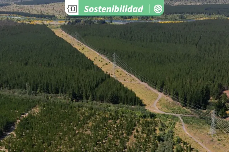 28992 diseno sin titulo 2026 01 20t154641.webp