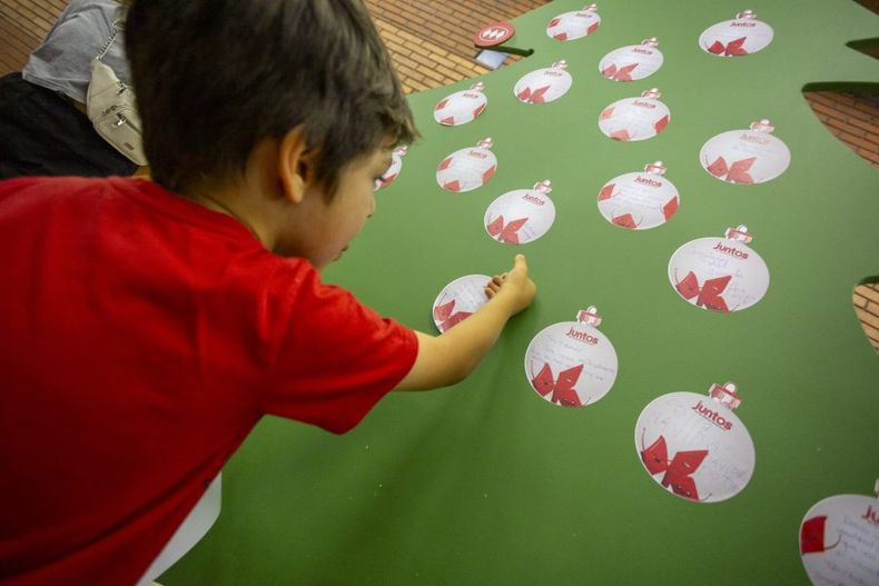 A_UNO_1538382 scaled e1703616228668.jpg