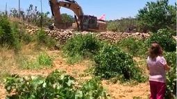 Nuevo asentamiento israelí amenaza propiedades de chilenos en valle agrícola de Cisjordania