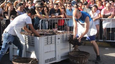 El Desconcierto | VENDIMIA.jpg