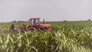 alimentacion sostenible y tecnologia agricola son tendencias en emprendimientos en 2026, ano clave por mayores inversiones