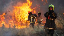 Justicia ordena a la CGE indemnizar a afectados por incendios forestales del Maule