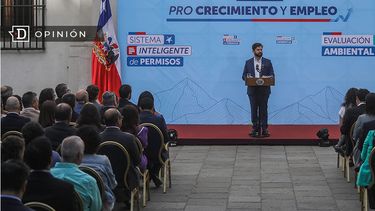 El Desconcierto | Mascara_opinion_ED_.jpg