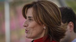 Comisión revisora de acusación contra Cubillos estará conformada en su mayoría por diputados oficialistas
