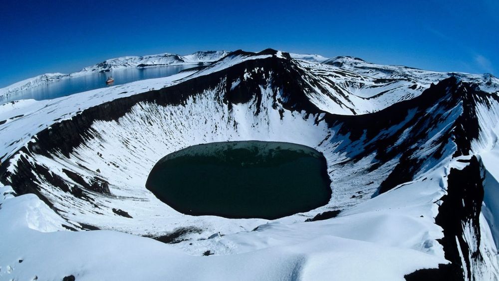 Colapsar sistemas de filtración en bivalvos a causa de la acción humana: Investigador U. Mayor sobre microplásticos en la Antártica