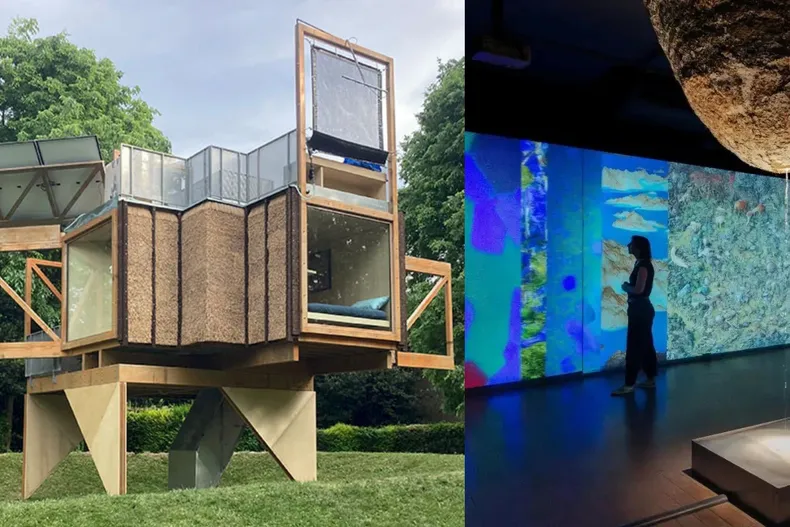 15544 diseno sin titulo.webp