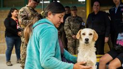 Hospital veterinario en Quilpué recibe recursos para mascotas hospitalizadas por incendios