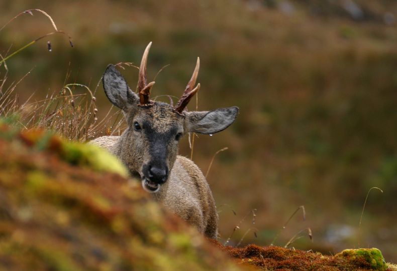 unnamed 2 1 scaled 1.jpg