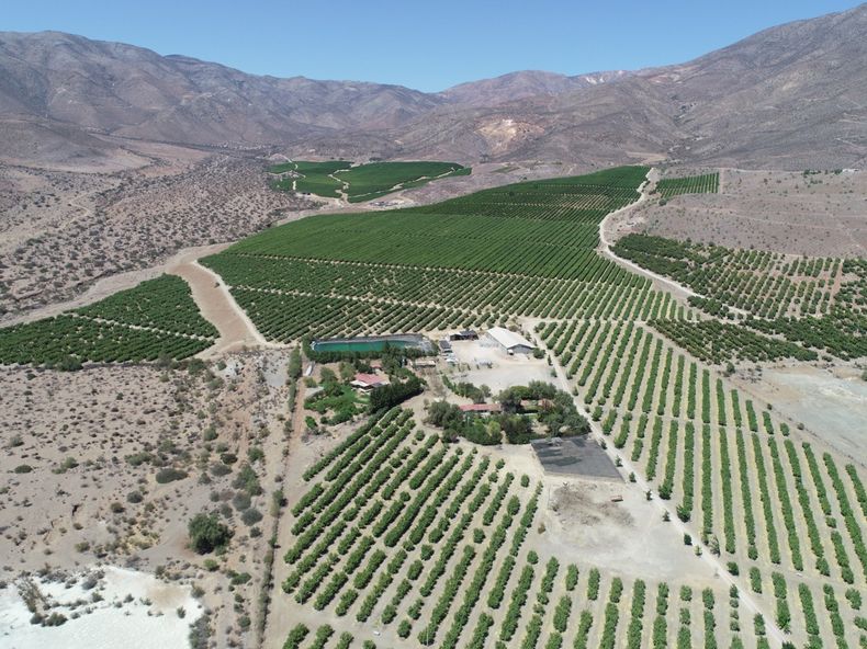 Agua mercantilizacion.jpeg