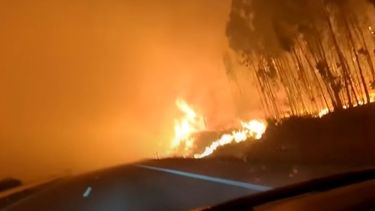 El calor deja más de 300 muertos en el sur de Europa y amenaza al norte