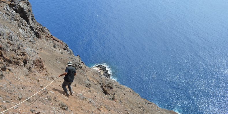 Expedicionistas usando equpo de escalada para acceder a los acantilados donde están las plantas en la isla San Ambrosio. Foto: Arón Cádiz.&nbsp;