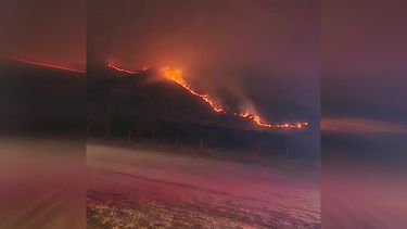 Incendio forestal en María Pinto y Curacaví afecta 800 hectáreas: Suspenden clases en establecimientos educacionales