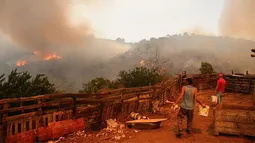 Confirman que Conaf falló en alerta en megaincendio de Viña del Mar por intermitencias críticas en sus sistemas