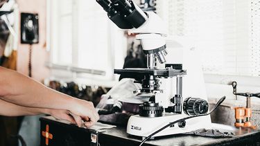 El potencial de los péptidos en la investigación capilar