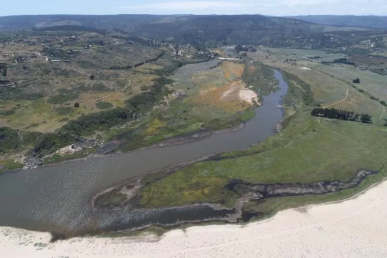 27830 diseno sin titulo 42.webp