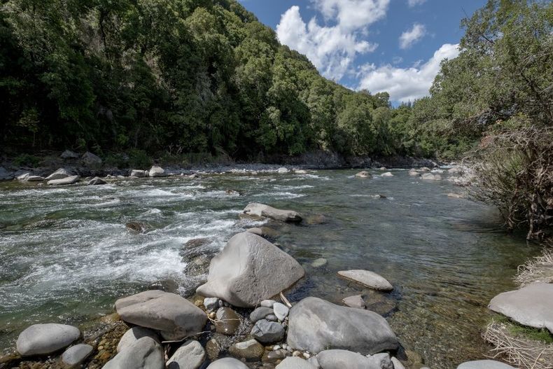 Rio Diguillin.jpg