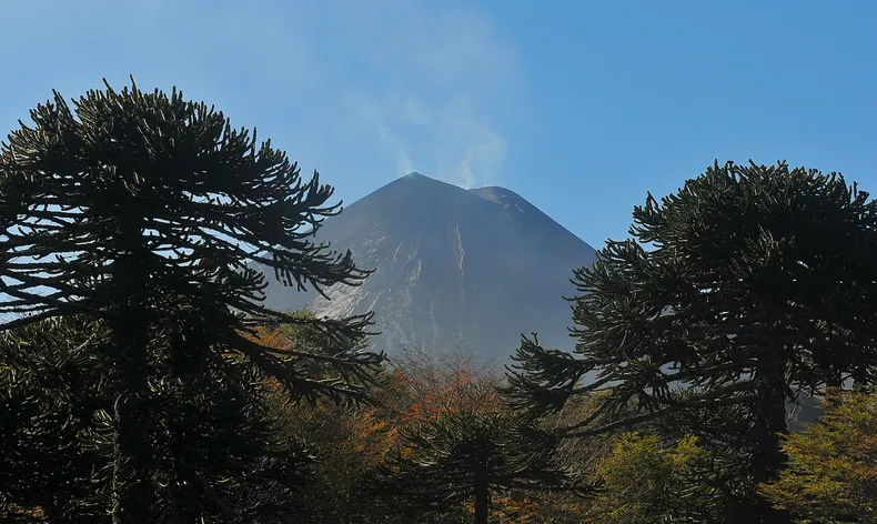 13571 volcan llaima.webp