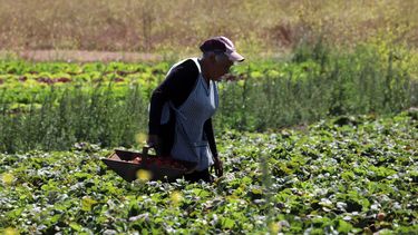 Desempleo en Chile sufre alza más fuerte desde la crisis por la pandemia COVID-19