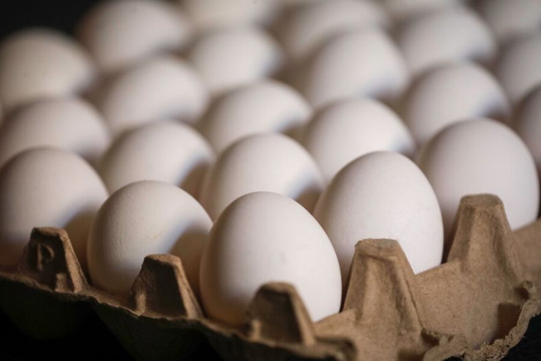 aumenta el precio del huevo y baja la produccion consecuencias de gripe aviar en chile.jpg