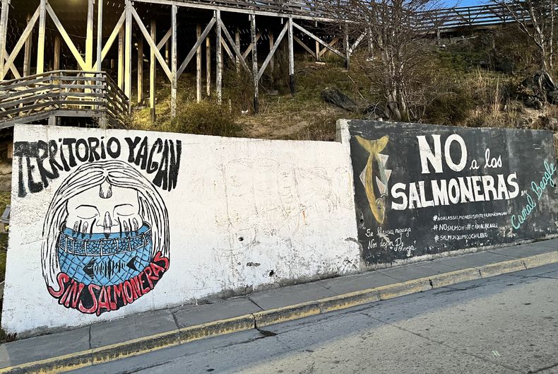 foto principal 1 scaled.jpg