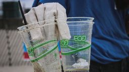 Entra a fase de discusión proyecto de ley que busca prevenir y sancionar greenwashing