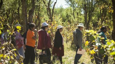 Territorios y bienestar: Aprovechar los vínculos rurales-urbanos para el crecimiento inclusivo de América Latina