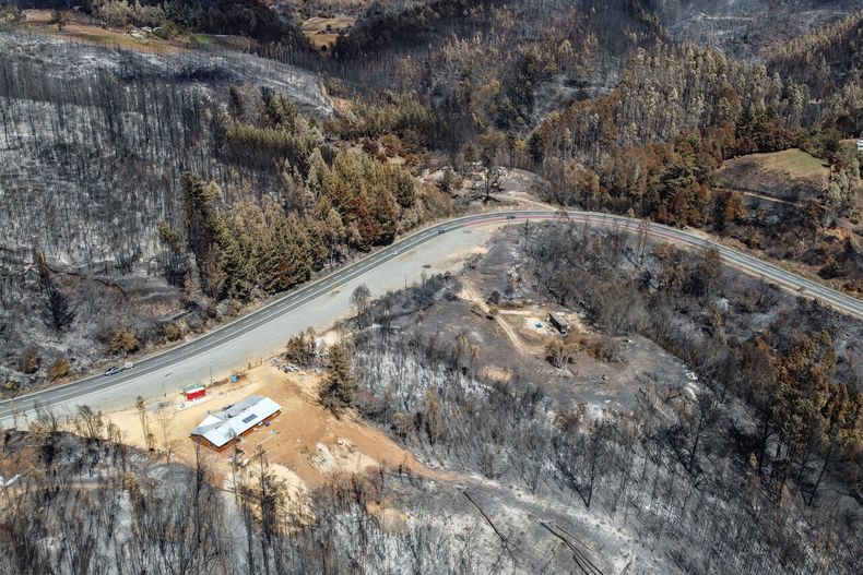 Incendios forestales en la región de Biobío.&nbsp;