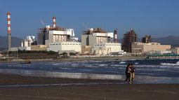 Corte de Apelaciones reconoce el impacto de los varamientos de carbón en la Bahía de Quintero