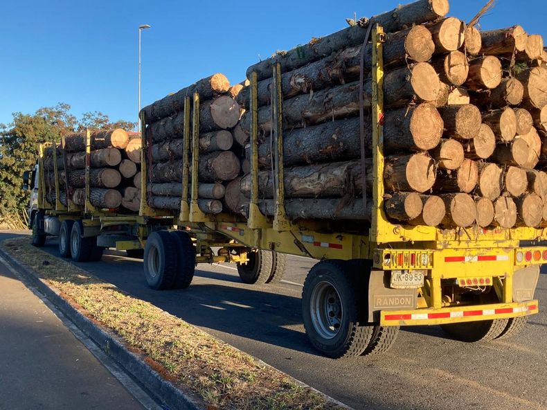 Robo de madera.jpeg