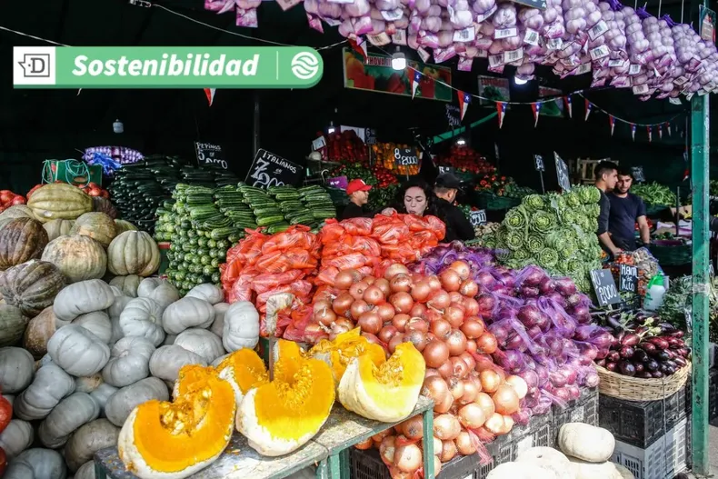 18972 diseno sin titulo 2025 07 11t104707.webp