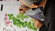 Francisco Ramos ilustrando una Parrilla blanca (Proustia pyrifolia) - Libro sobre plantas nativas de Chile