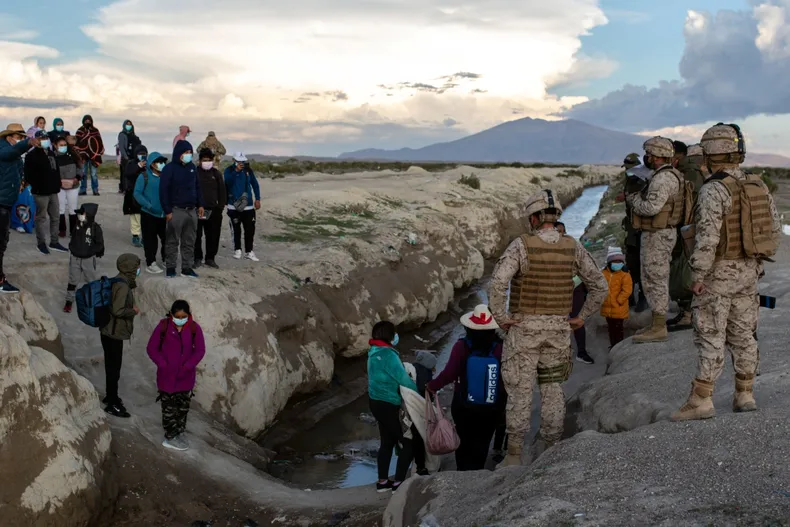 20814 colchanemigracion.webp