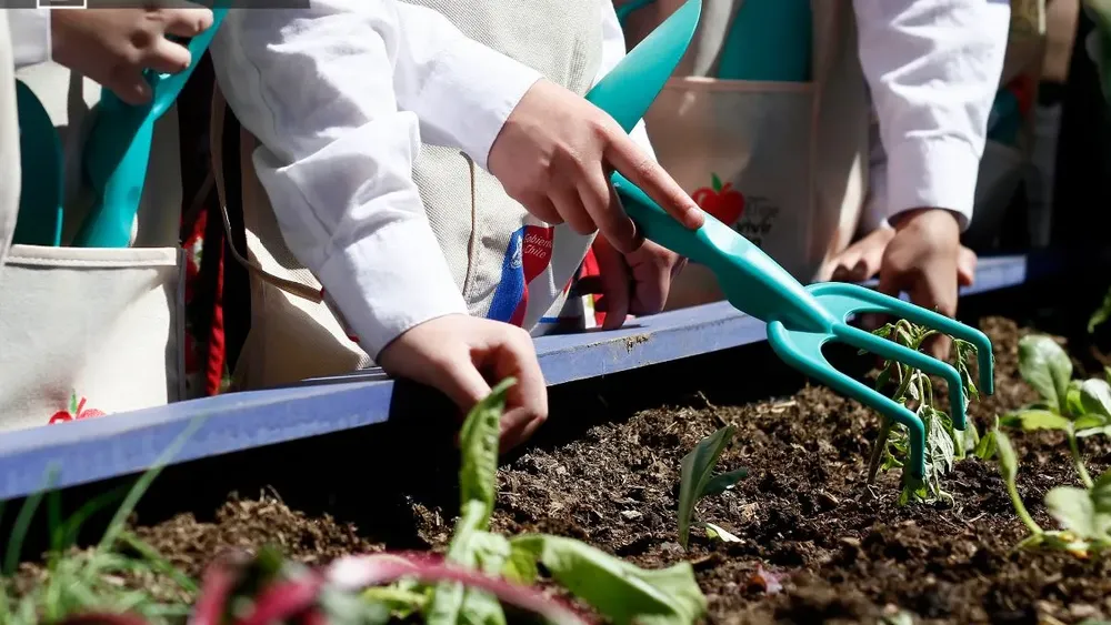 Escuelas que sanan: La naturaleza como clave pedagógica ante la violencia escolar