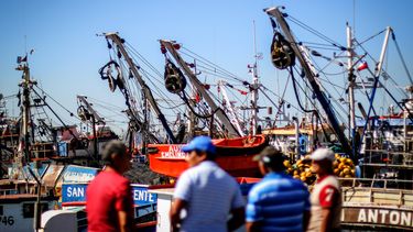 Pesca artesanal hace frente a críticas por Ley de Fraccionamiento: Condepp llama a ignorar “caricaturas” de la industria