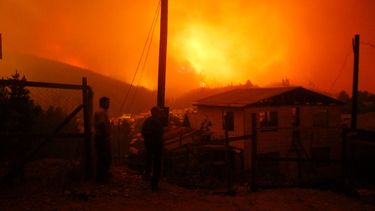 Fuego fuera de control en Chile: Más de 238 mil hectáreas han sido arrasadas