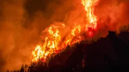 Incendios de la Patagonia siguen sin control y apuntan a falta de recursos y desfinanciación de prevención por gobierno de Milei