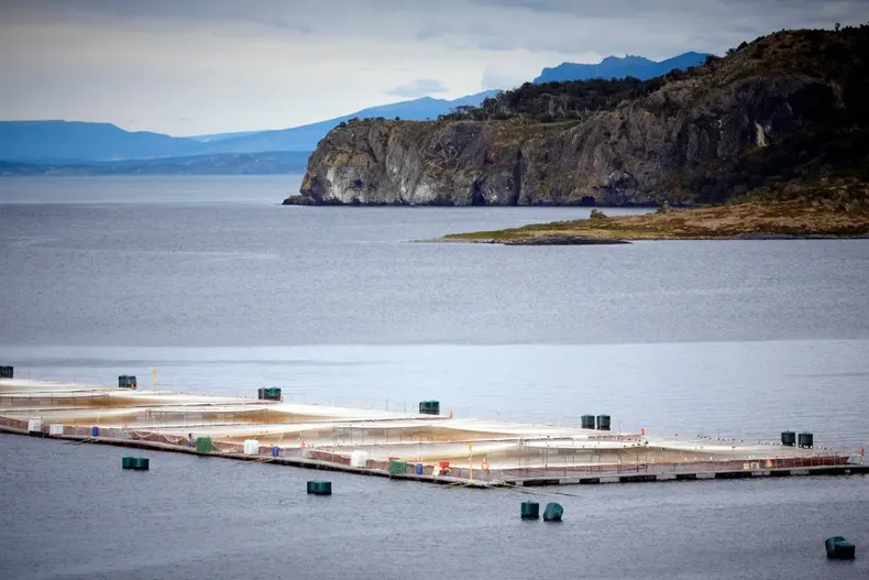 17617 diseno sin titulo 2025 06 17t155824.webp