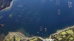 Debate entre indígenas y salmoneras por explotar o proteger el mar se libra en el Congreso
