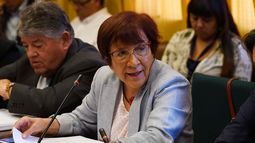 Proyecto de Ley que sanciona el negacionismo de los crímenes de la dictadura es aprobado por la Comisión de DDHH