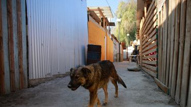 Ad portas de la temporada de calor TECHO alerta sobre precariedad de campamentos en zonas de riesgo