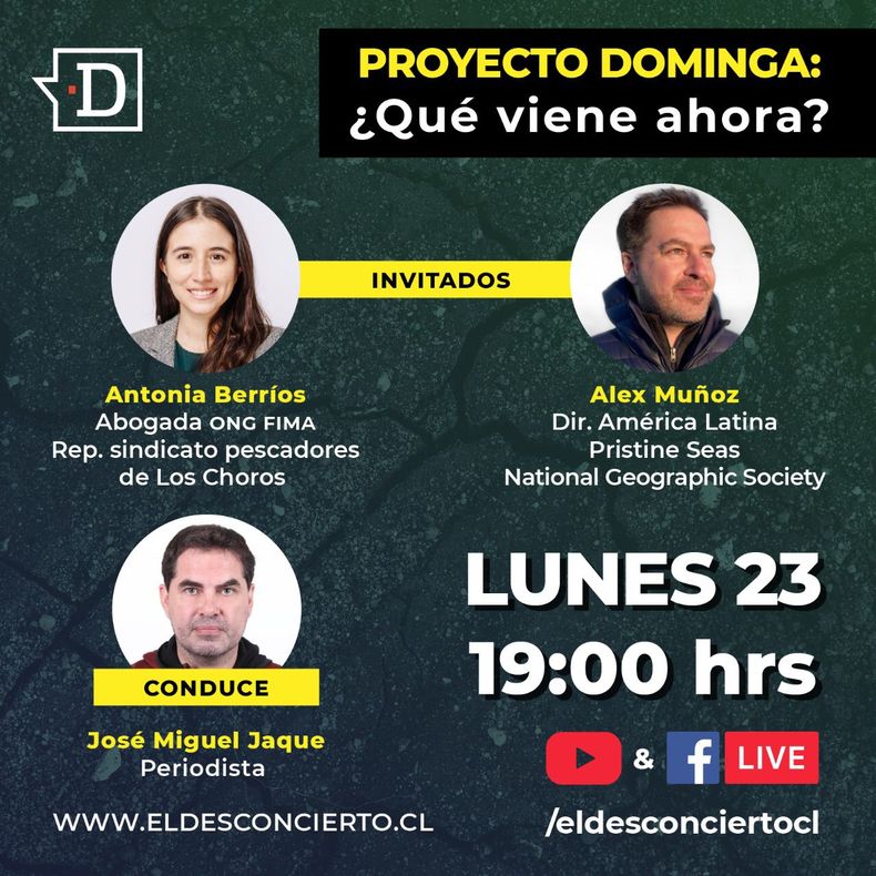 Dominga 3.jpg