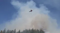 Alerta SAE: Senapred ordena evacuación del sector Cajón del Lebu en Limache por incendio forestal