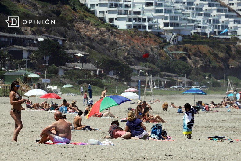 Maitencillo e1708920087692.png