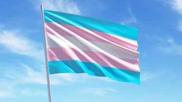 Cambios de nombre y/o sexo incrementa en 1.000% en 5 años: Más de la mitad por hombres trans