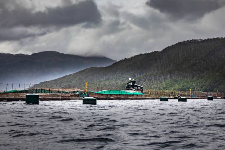 Salmonera en reserva Kawesqar_Foto_Pristine Seas National Geographic.jpg