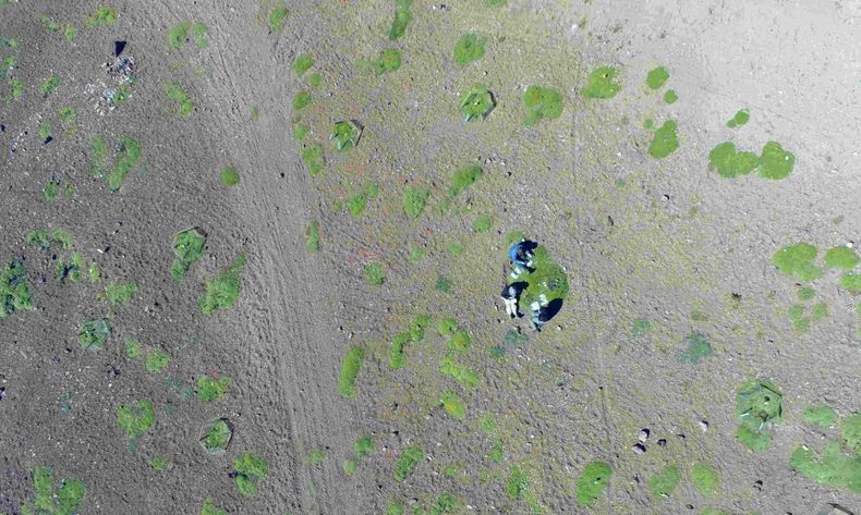 Drones e imágenes satelitales para perseguir delitos ambientales.&nbsp;