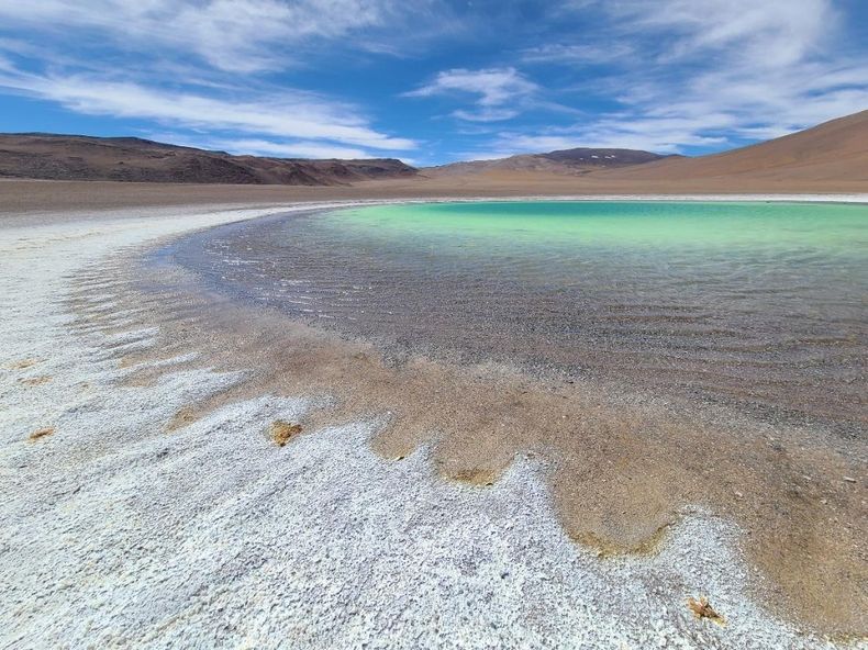 Laguna redonda, en la propuesta Reserva de Región Virgen Lagunas Las Parinas y Redonda. 