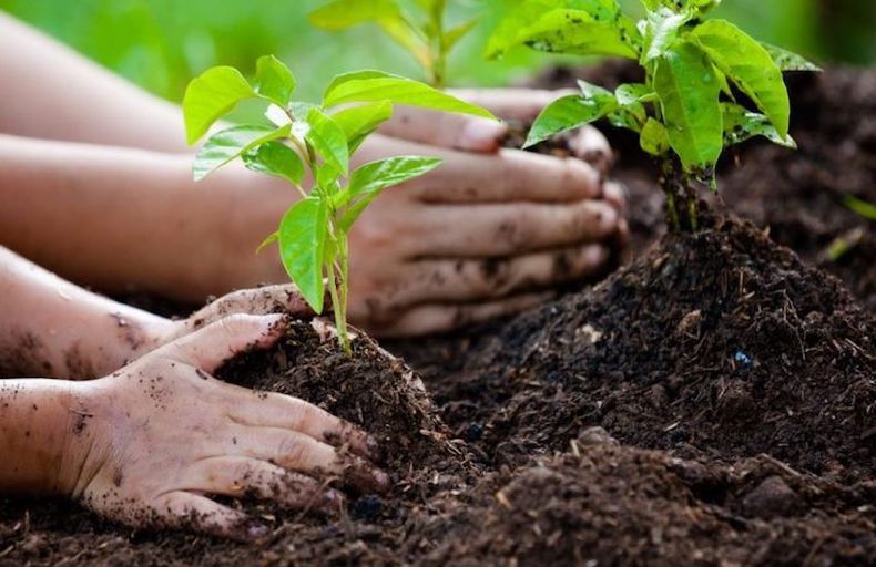 educacion ambiental.jpg