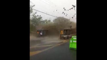 VIDEO| Revelan momento exacto en que persona salva milagrosamente de catástrofe en Costa Rica